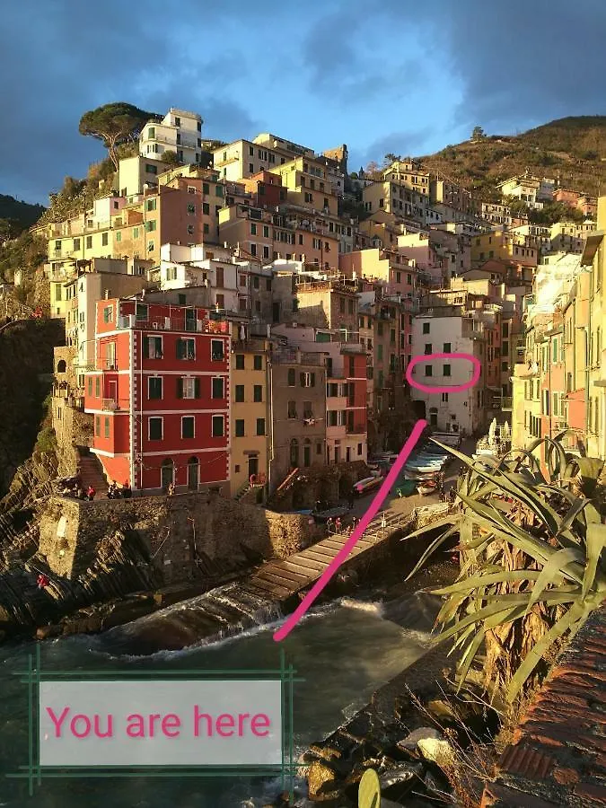 Nel Cuore del Porticciolo Riomaggiore